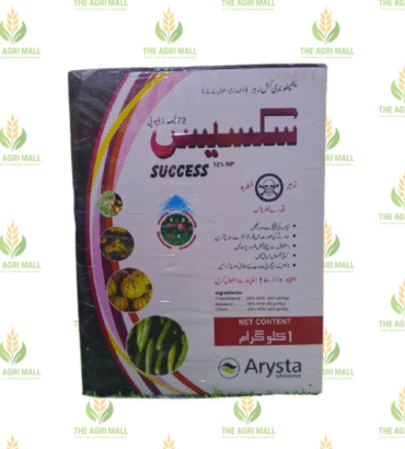 Success 1000 gram