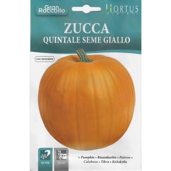 Orange Pumpkin