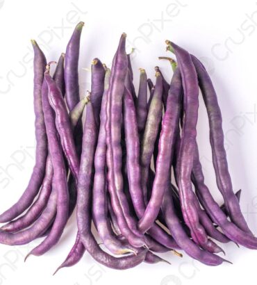 Purple Pole Bean (پرپل پول بین)