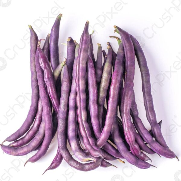 Purple Pole Bean (پرپل پول بین)