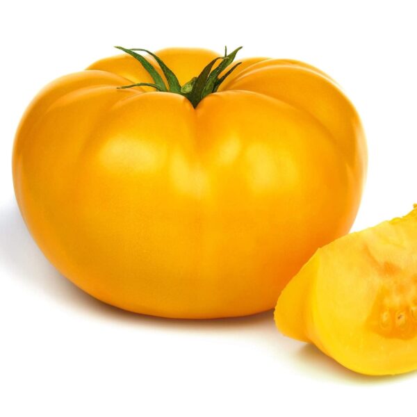 Yellow Beef Tomatoes (بیف ییلو ٹماٹر)