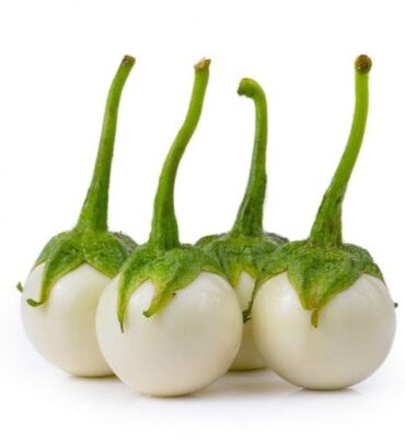 Eggplant Round (گول سفید بینگن) F1 Hybrid