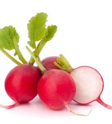 Red Reddish (لال مولی) F1 Hybrid