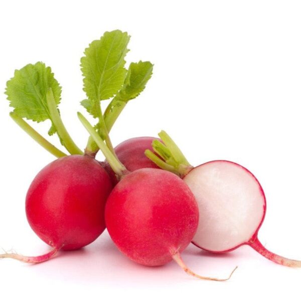 Red Reddish (لال مولی) F1 Hybrid