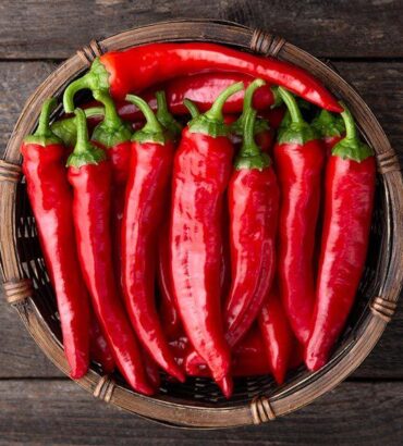 Caynne Peppers (ھاٹ چلی پیپرز)