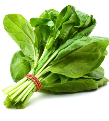Spinach (پالک) F1 Hybrid