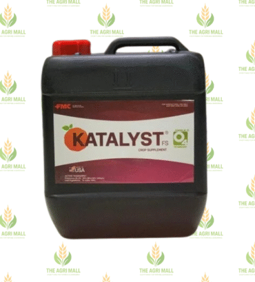 Katalyst
