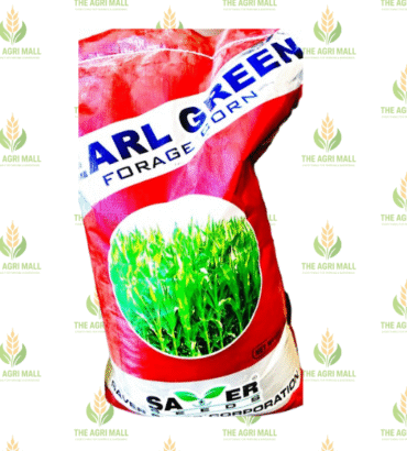 Pak Afgoi (Maize Fodder)