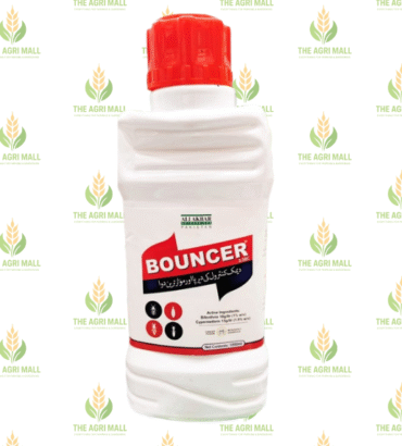 Bouncer