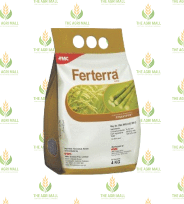 Fertera