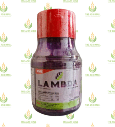 Lambda 2.5 EC