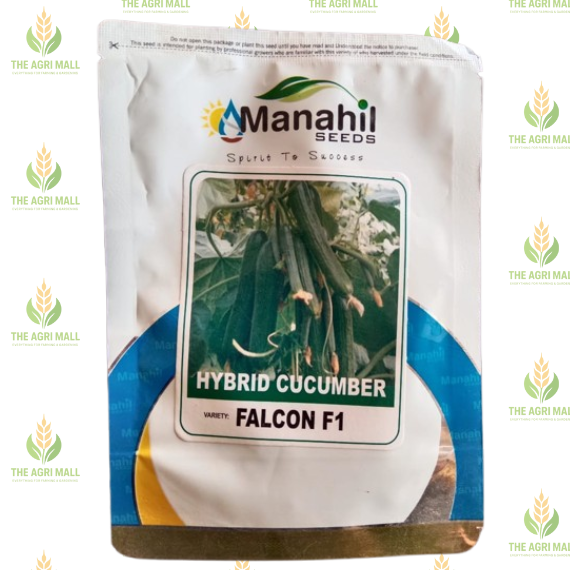 Falcon F1 Cucumber Seed