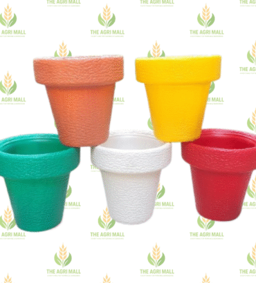 Colorful Plastic Pot 6 Inches